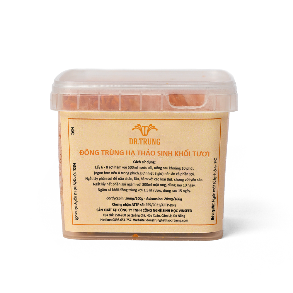 Đông trùng hạ thảo tươi (Loại Sinh khối) - Ảnh 2